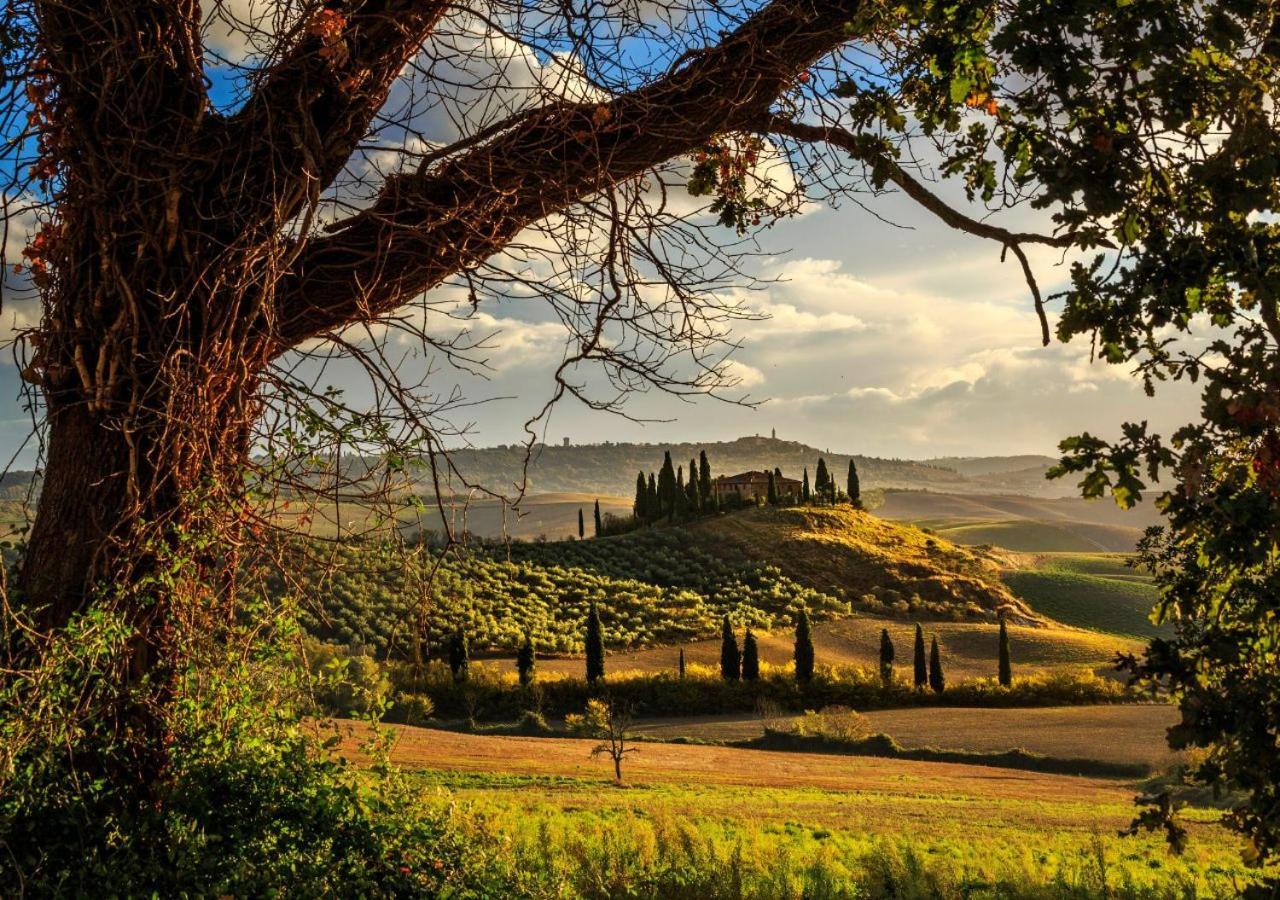 15 Min Da Montepulciano - Villa Chiara Montefollonico Экстерьер фото